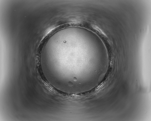 X0000085731208200703160957