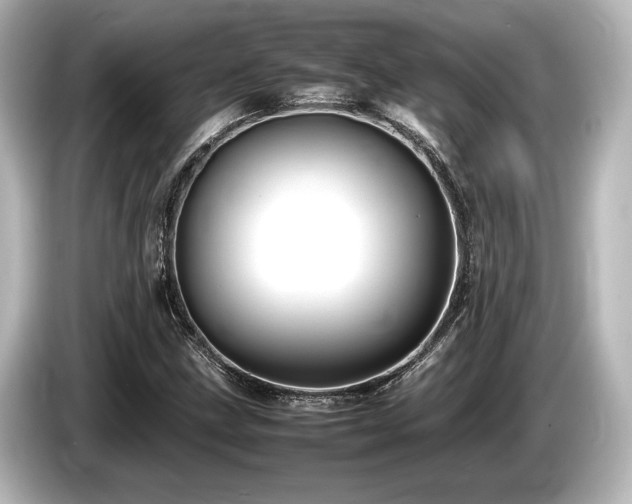 X0000085731211200703160957