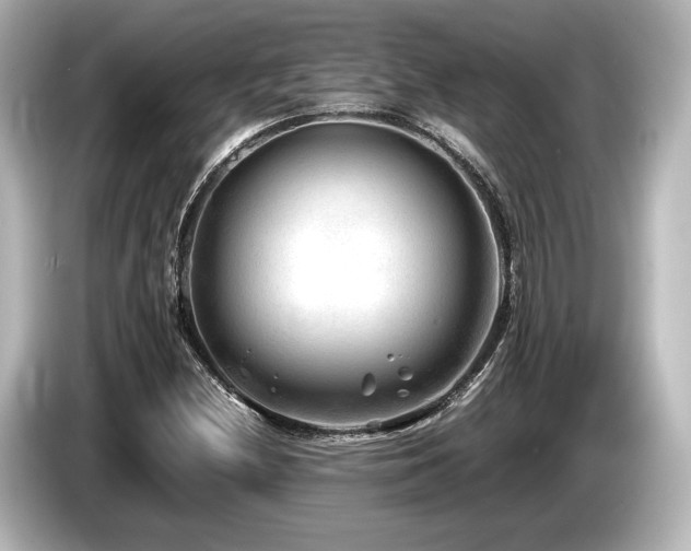 X0000085731212200703160957