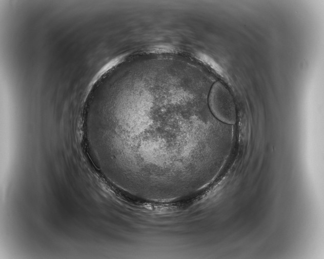 X0000085731213200703160957