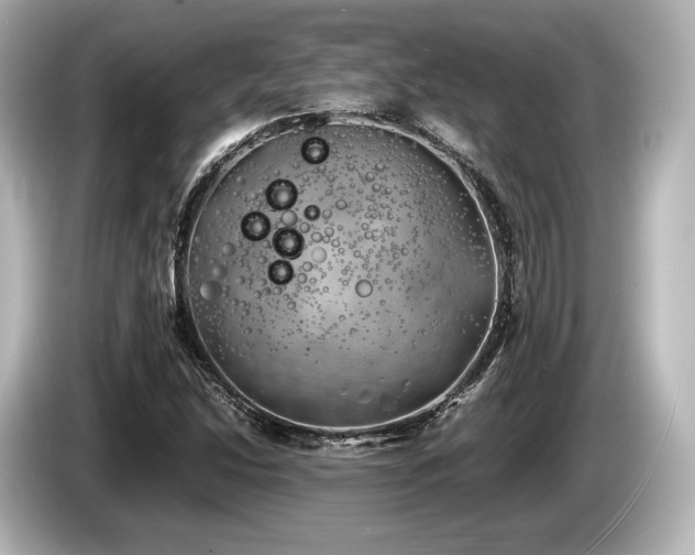 X0000085731214200703160957