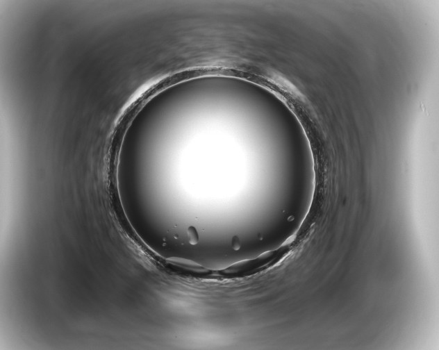 X0000085731216200703160957