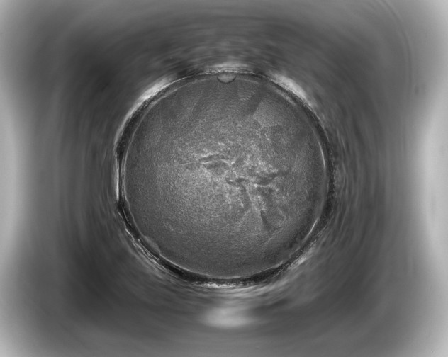 X0000085731219200703160957