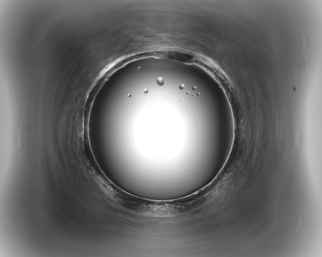 X0000085731220200703160957