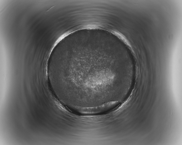 X0000085731226200703160957