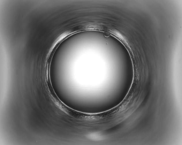 X0000085731227200703160957