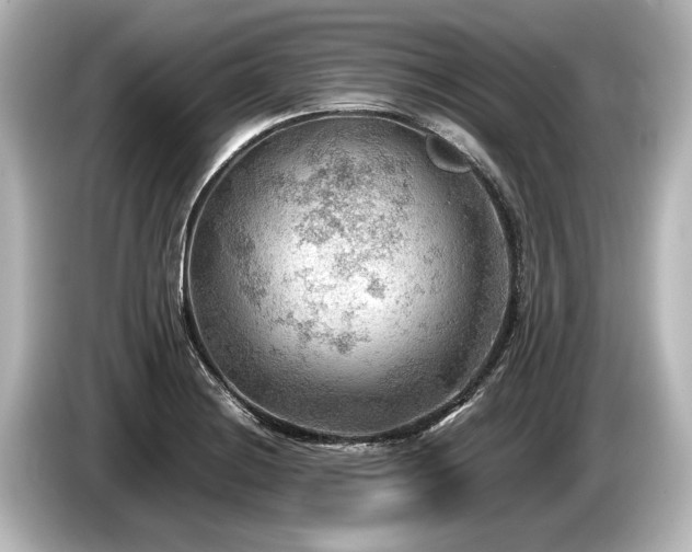 X0000085731228200703160958