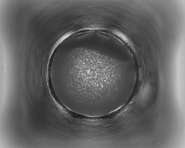 X0000085731229200703160958