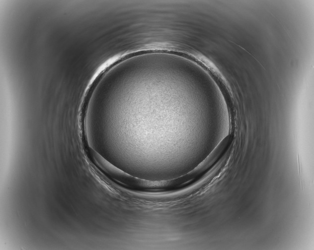 X0000085731230200703160958