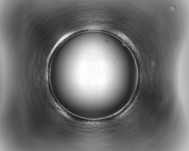 X0000085731232200703160958