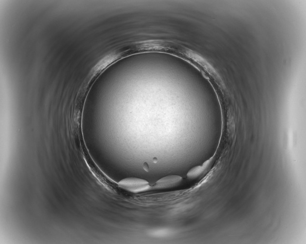 X0000085731233200703160958