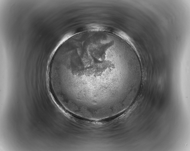 X0000085731235200703160958