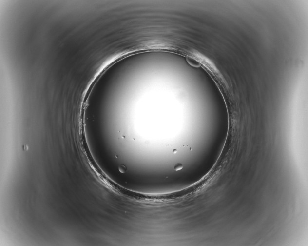 X0000085731236200703160958