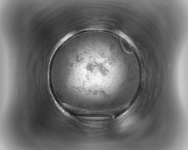 X0000085731237200703160958