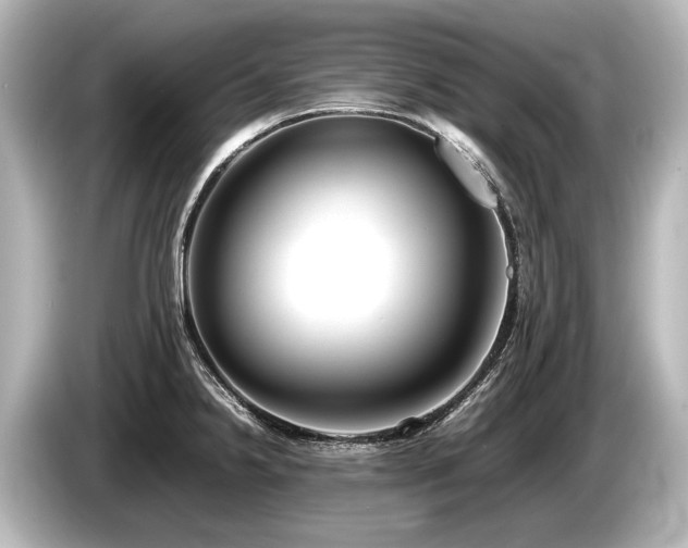 X0000085731238200703160958