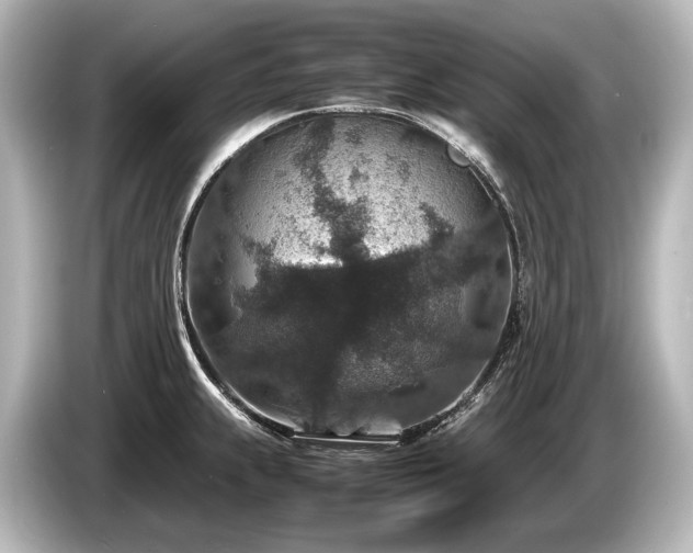 X0000085731239200703160958