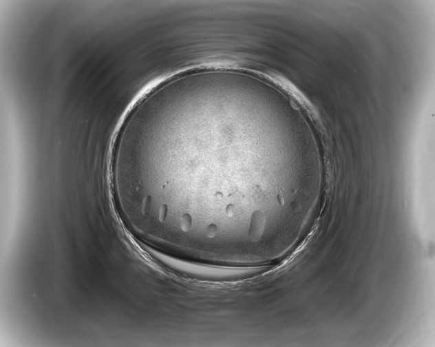 X0000085731240200703160958