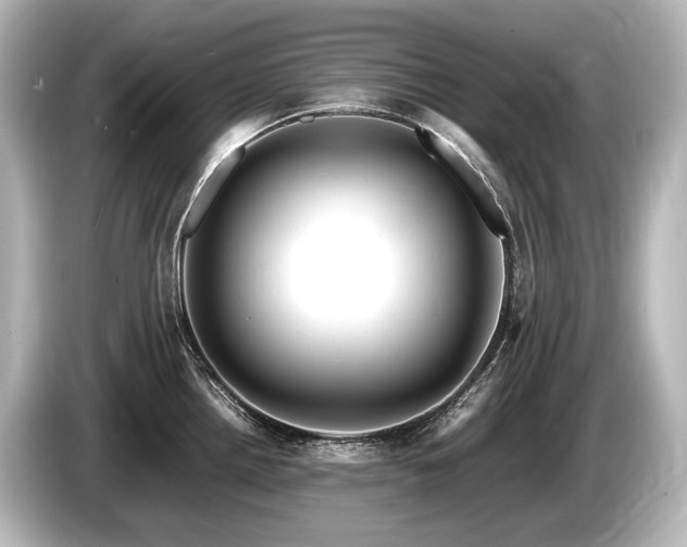 X0000085731242200703160958