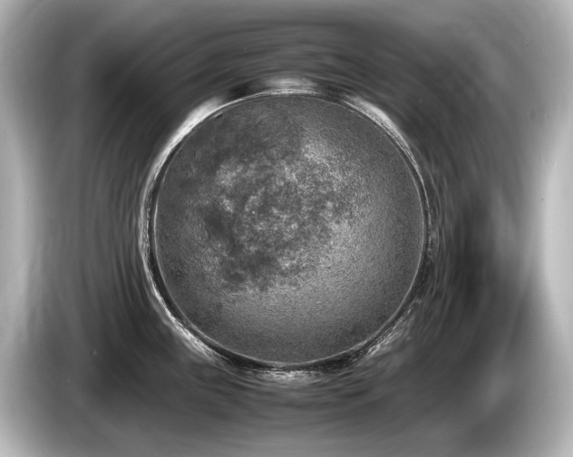 X0000085731243200703160958