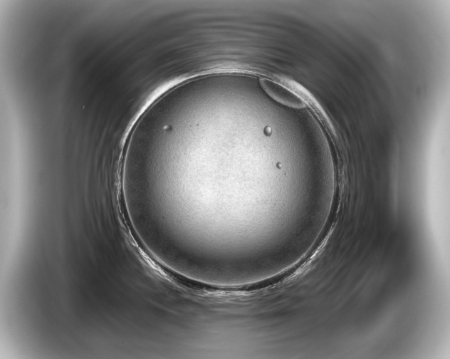 X0000085731244200703160958