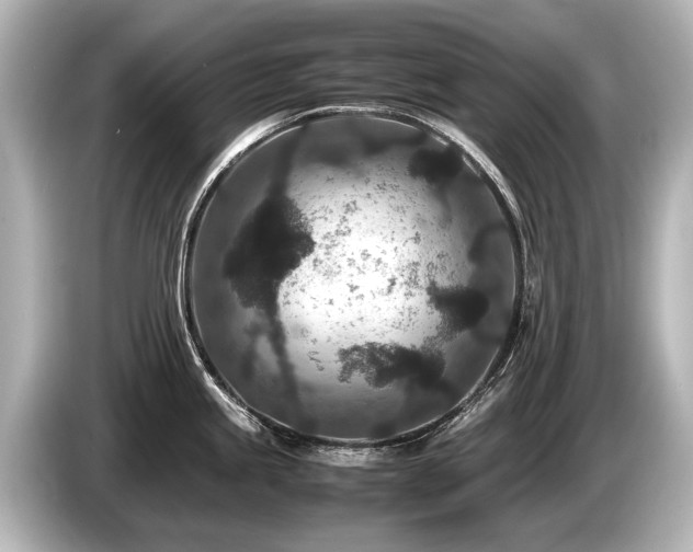 X0000085731245200703160958