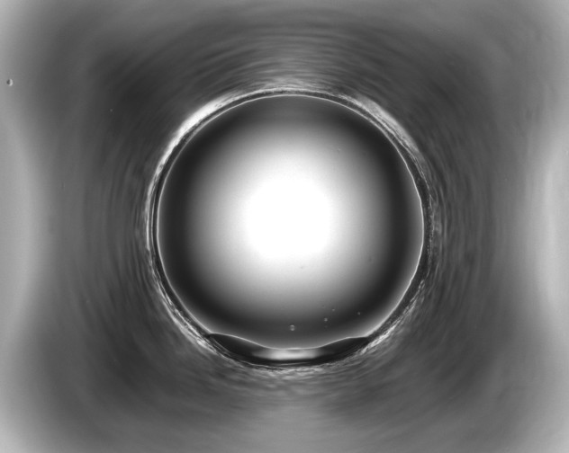 X0000085731246200703160958