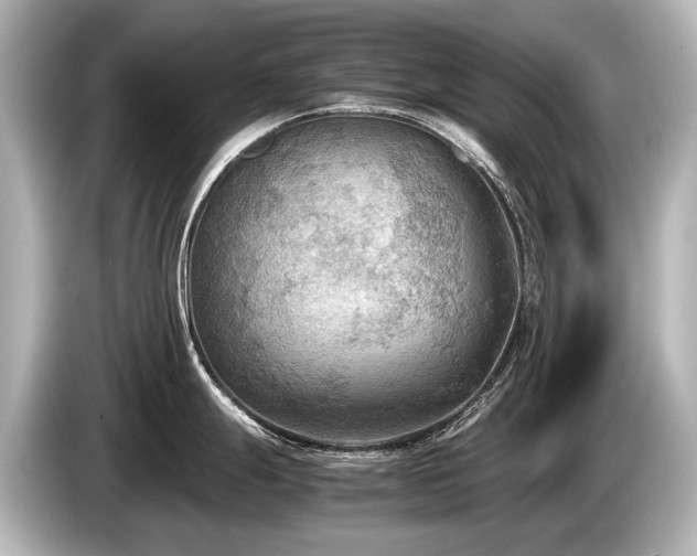 X0000085731247200703160958