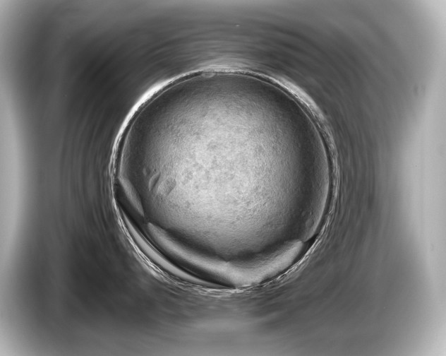 X0000085731248200703160958