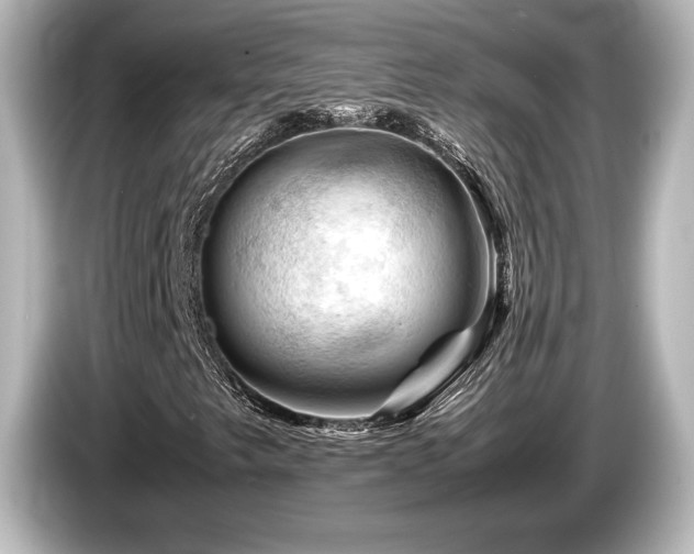 X0000085731249200703160957