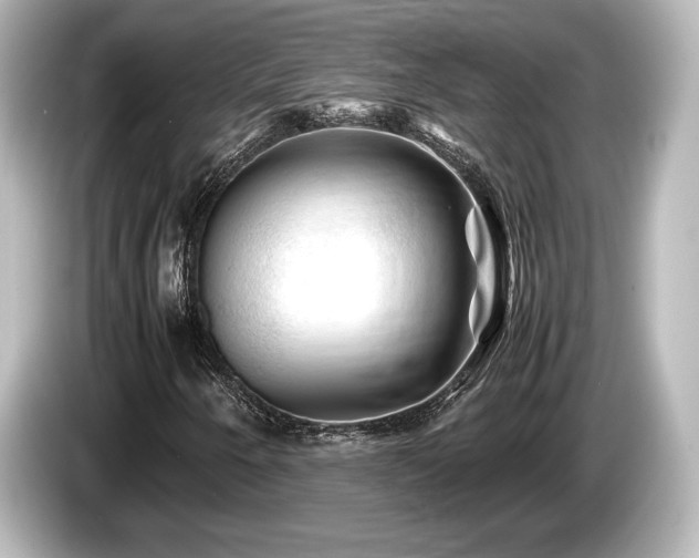 X0000085731250200703160957