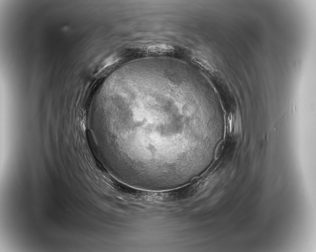 X0000085731251200703160957