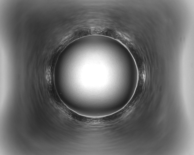 X0000085731252200703160957