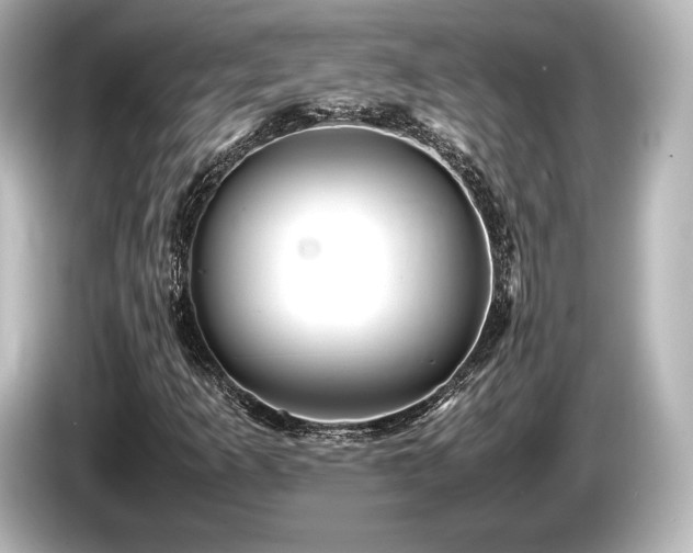 X0000085731253200703160957