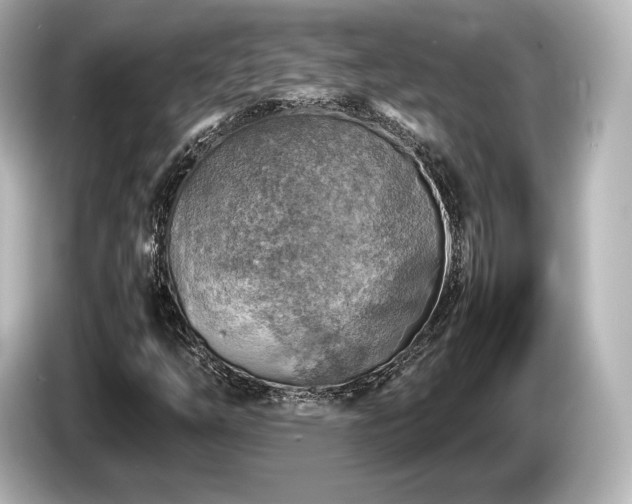 X0000085731254200703160957