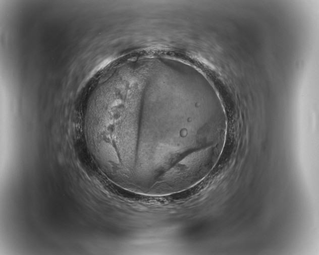 X0000085731255200703160957