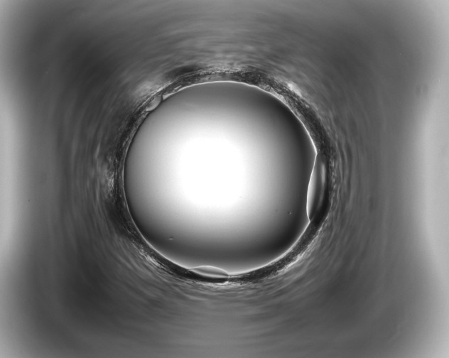 X0000085731257200703160957