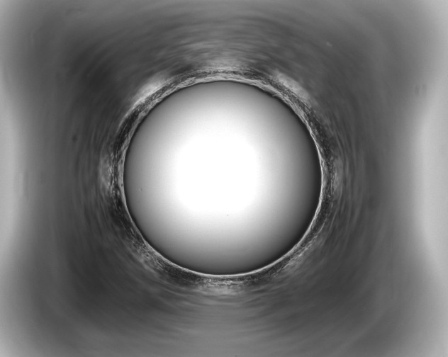 X0000085731258200703160957