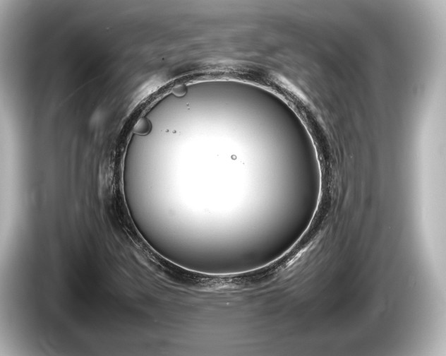 X0000085731259200703160957