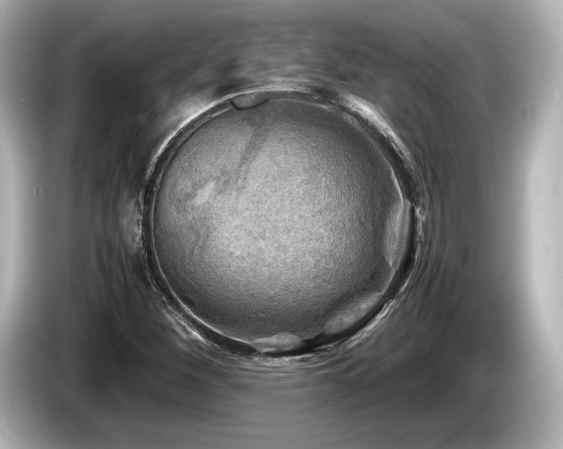 X0000085731260200703160957