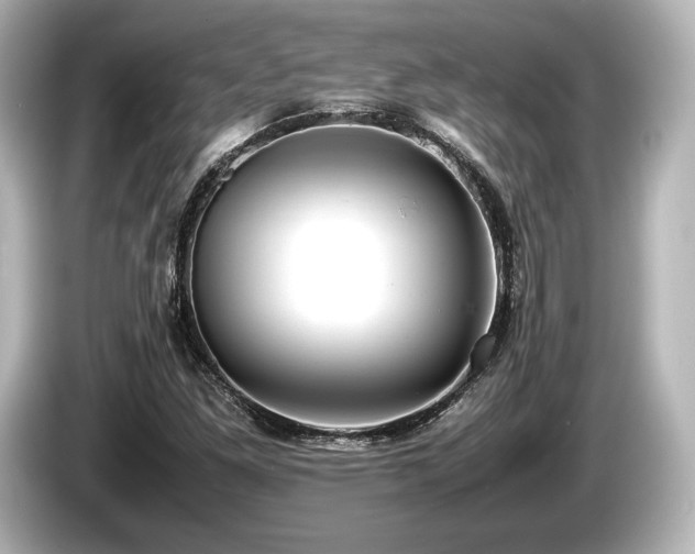 X0000085731261200703160957