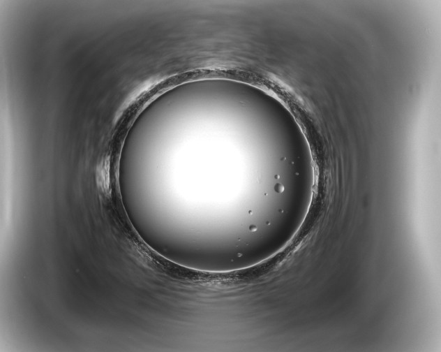 X0000085731262200703160957