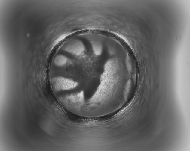 X0000085731263200703160957