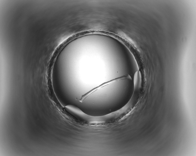 X0000085731264200703160957