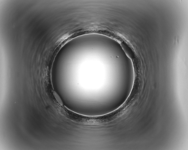 X0000085731265200703160957