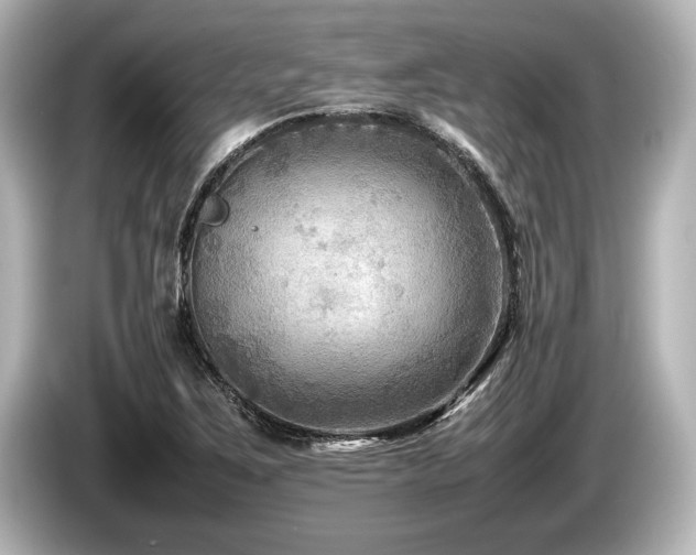 X0000085731267200703160957