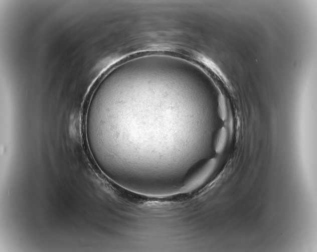 X0000085731268200703160957