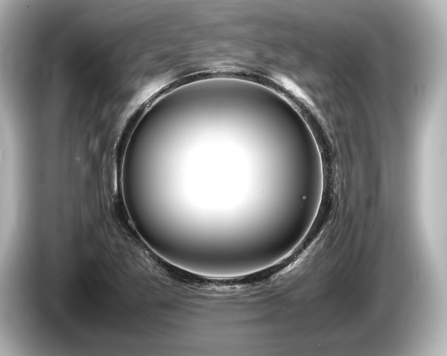 X0000085731269200703160957