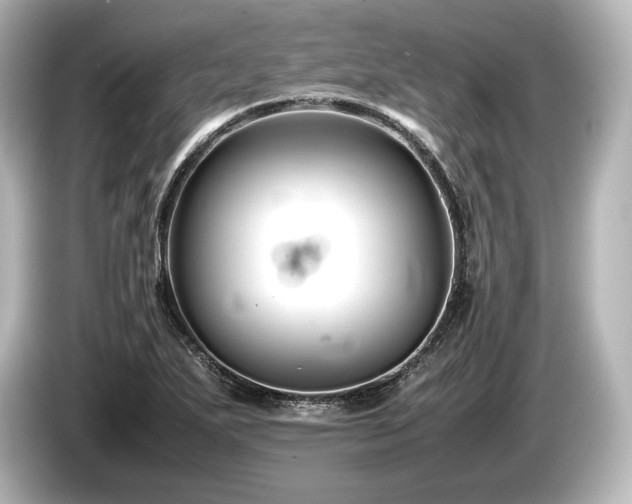 X0000085731271200703160957