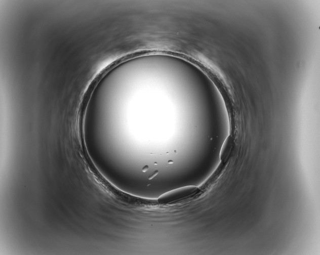 X0000085731272200703160957