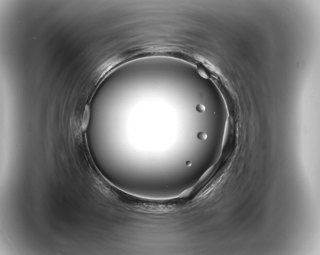 X0000085731273200703160957